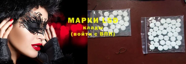 спайс Аркадак