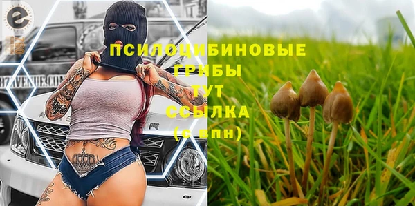 спайс Аркадак