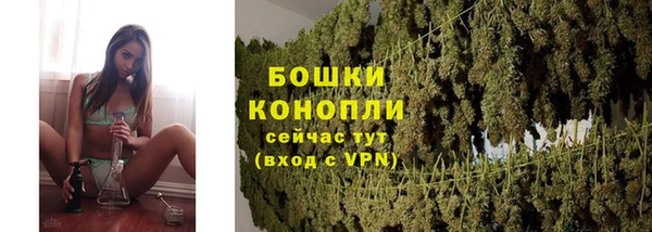 индика Навашино