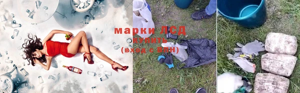 спайс Аркадак