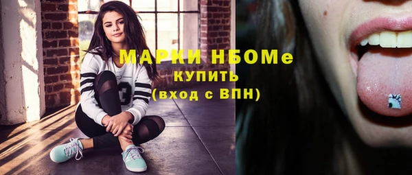 индика Навашино