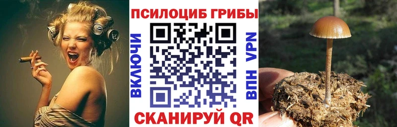 МЕГА ссылки  Полярные Зори  Псилоцибиновые грибы мухоморы 